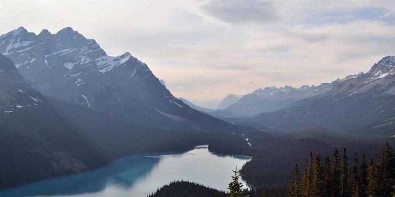 neural-network-surrogate-method