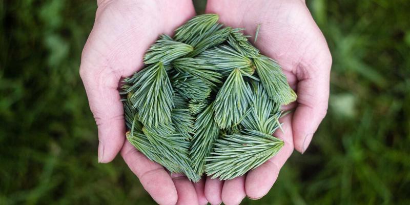 topology-optimization-ml-theory