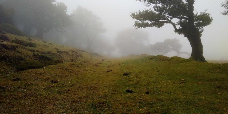 corrosion-sim-method