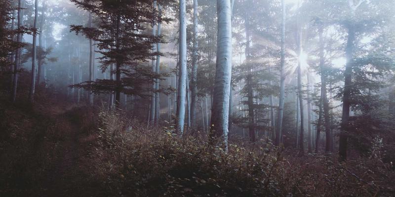 creep-fatigue-interaction-advanced