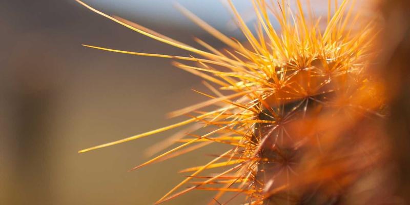 battery-degradation-method