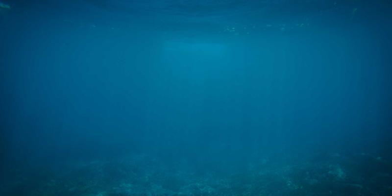 rom-multiphysics-vendor