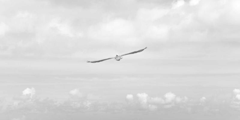 emat-simulation-practice