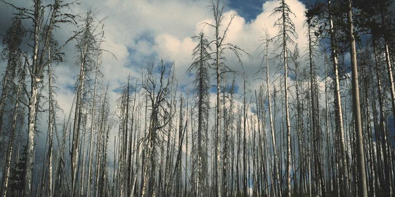 emat-simulation-troubleshoot