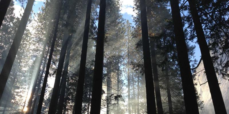 shielding-effectiveness-emc-method