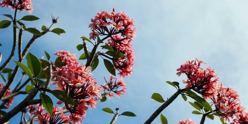 channel-simulation-advanced