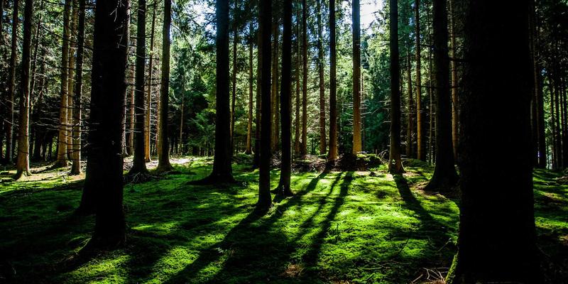 cogging-torque-advanced