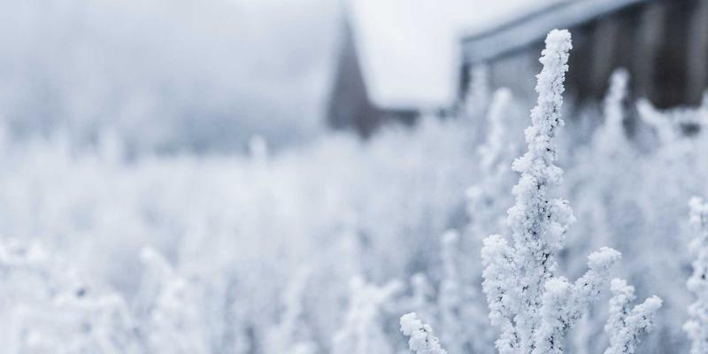 high-voltage-insulation-practice