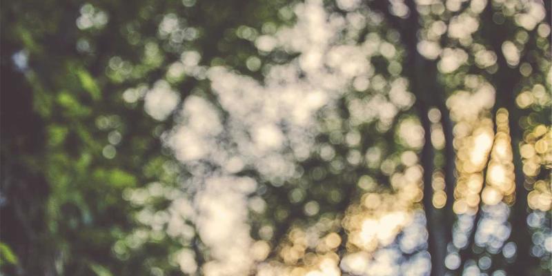 dielectric-resonator-vendor