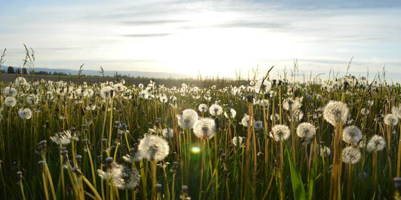 hall-effect-sensor-troubleshoot