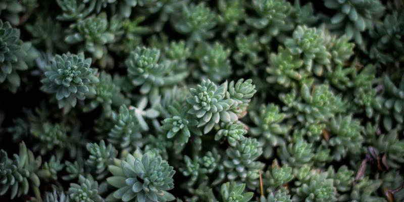 pcb-emc-layout-vendor