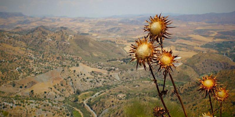 dns-fundamentals-method