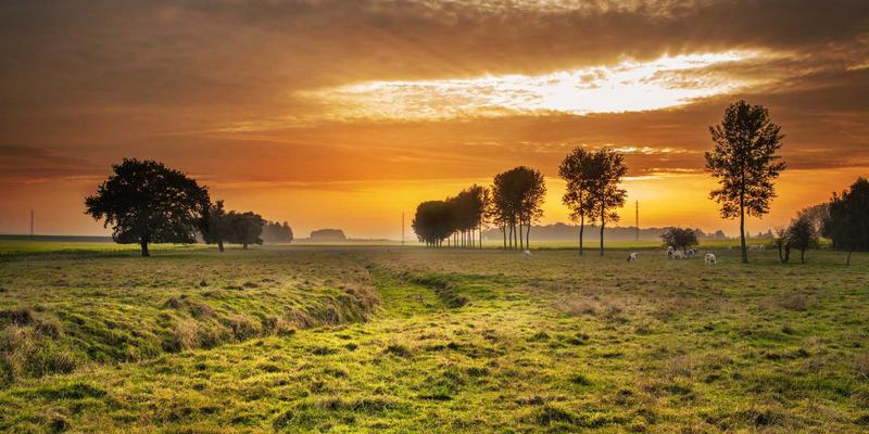 central-difference-vendor