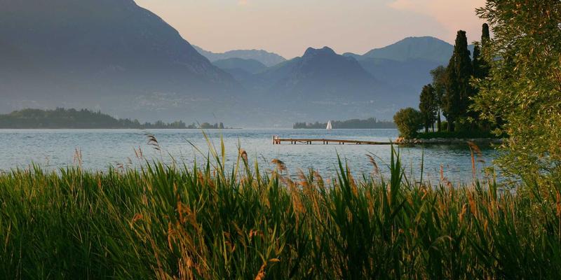 forced-convection-cfd-practice