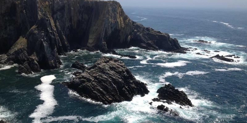 cloud-cae-market-vendor