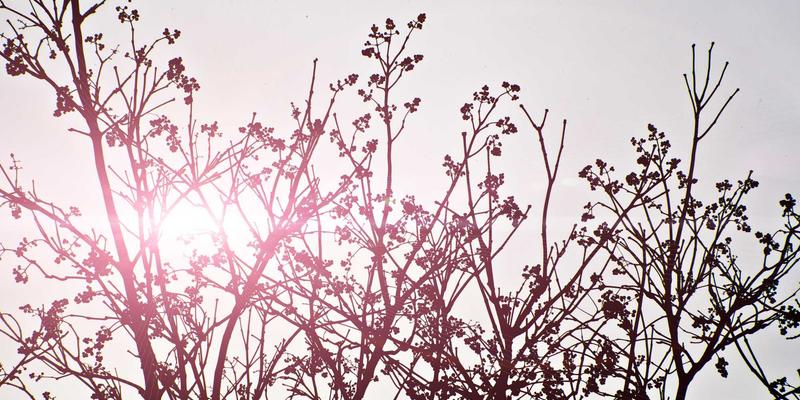 am-microstructure-method