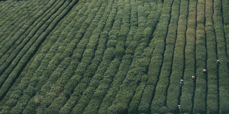 welding-residual-theory