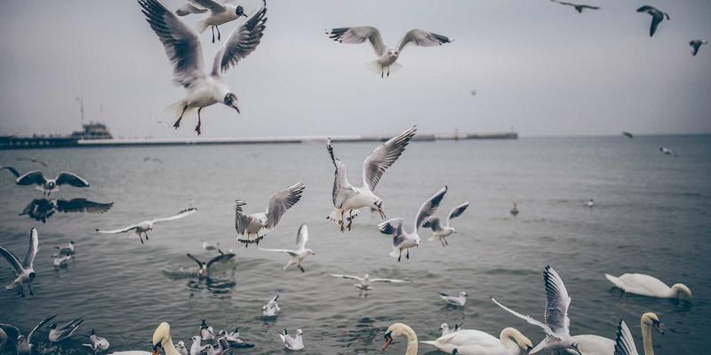 palace-electromagnetics-troubleshoot