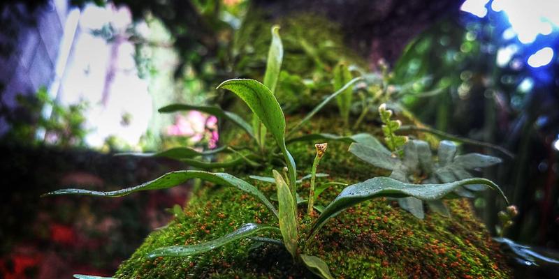 calculix-intro-vendor