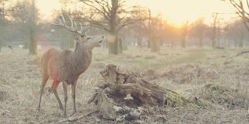 openfoam-turbulence-advanced