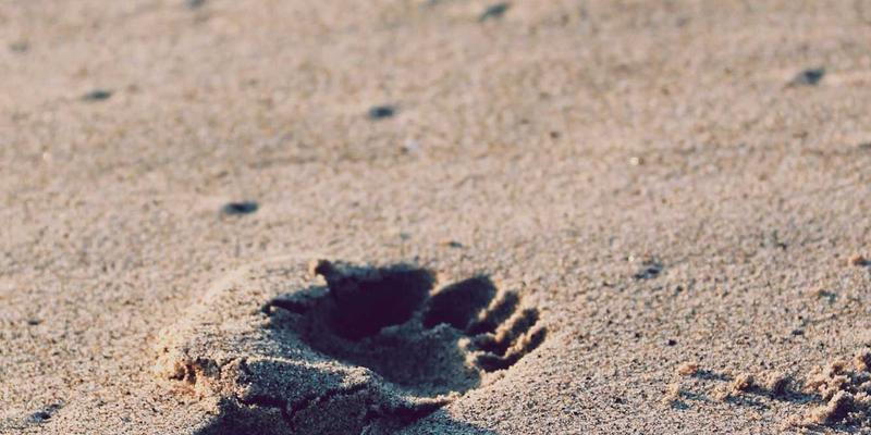 j-integral-troubleshoot