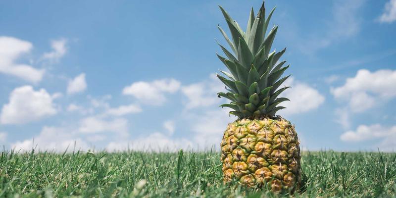 seismic-spectrum-theory