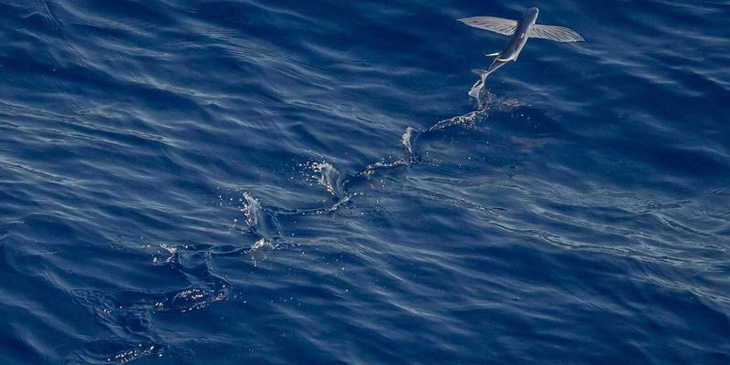 lanczos-method-advanced