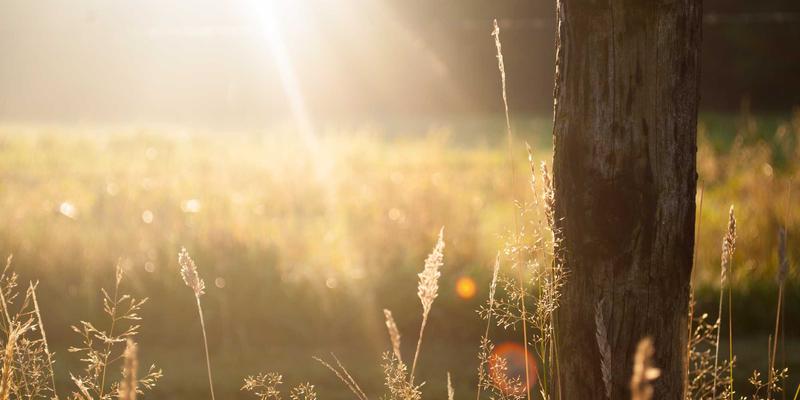 gasket-element-method