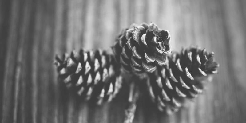 creep-buckling-method