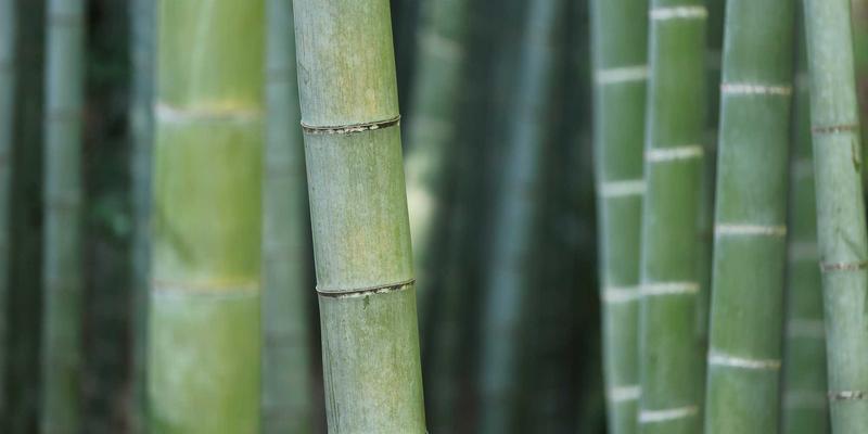 tria6-element-theory