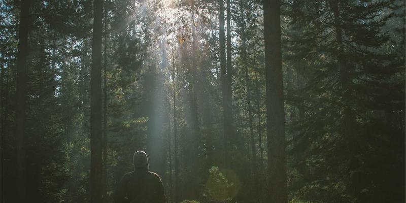 composite-wall-theory