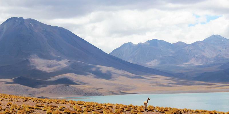 kirchhoff-law-practice