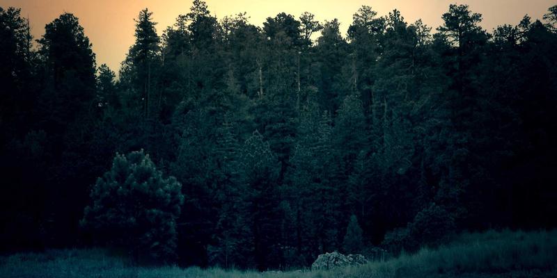 composite-wall-advanced