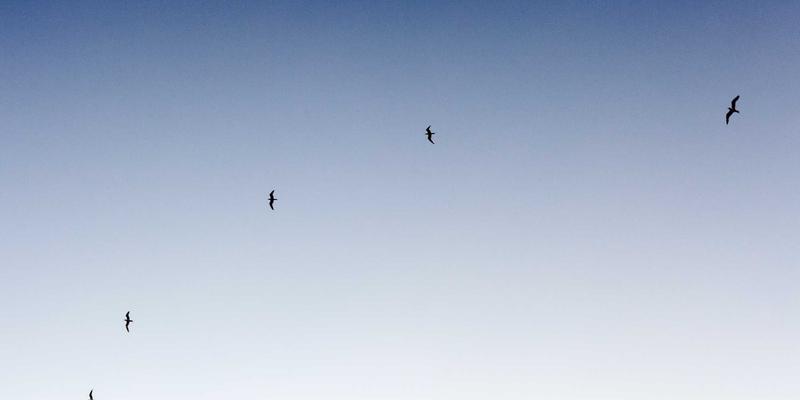 dittus-boelter-troubleshoot