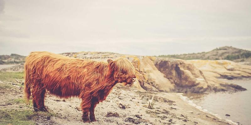 heat-pipe-fundamentals-method