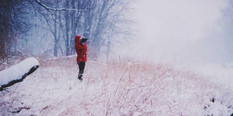 cht-methodology-vendor