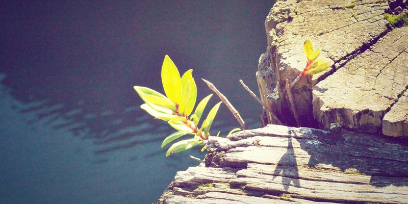 building-energy-advanced