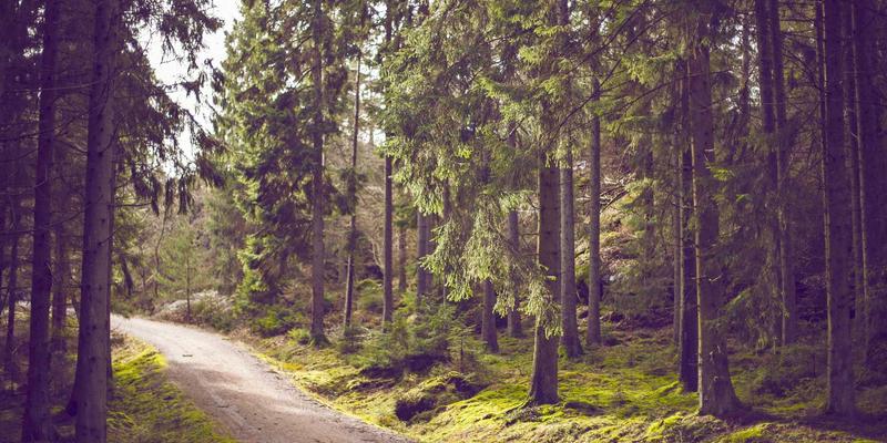 dimensional-analysis-vendor